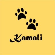 Nr11_Kamali