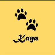 Nr4_Kaya