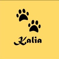 Nr9_Kalia
